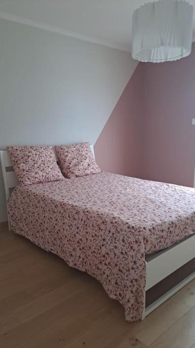 Maison Paisible Et Ensoleillee Avinyon Dış mekan fotoğraf
