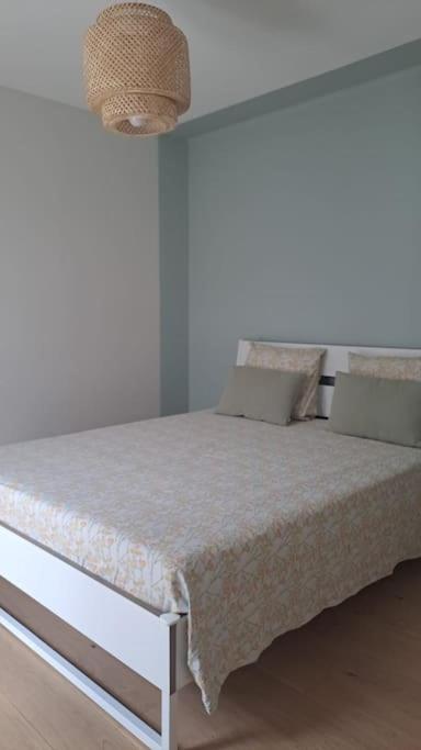 Maison Paisible Et Ensoleillee Avinyon Dış mekan fotoğraf